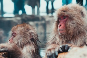 6 горячих источников в Алматинской области 