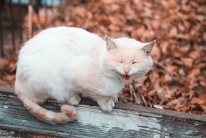 Жаловаться конструктивно, чтобы найти решение