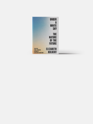 Что читает Билл Гейтс: 5 книг на лето