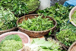 Вкусная трава: 3 блюда на лето со щавелем