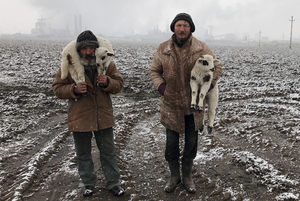 Опубликованы лучшие фотографии с iPhone Photography Awards