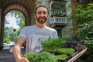 Деньги на подоконнике: Как зарабатывают на микрозелени 