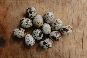 В каких продуктах есть холестерин? 