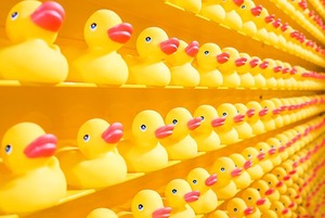 Как провести смешные выходные: Мемы, история юмора и тест на его определение