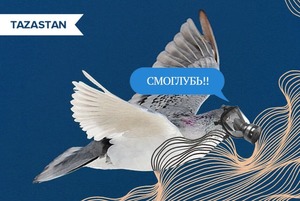 Насколько очистился воздух в Алматы во время карантина 