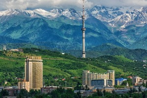 Пять любимых материалов редакции о городе